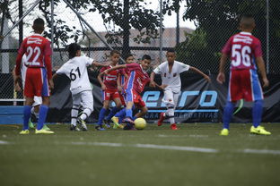 APP下载 LY Sports-圣基茨和尼维斯足球青训营扩大规模,圣基茨和尼维斯是哪个国家